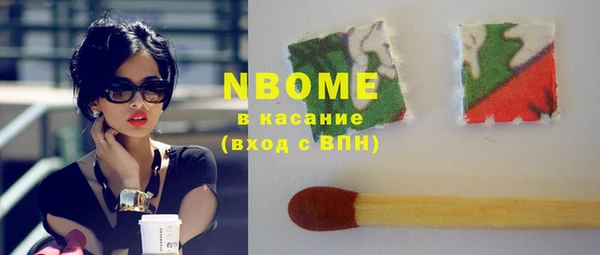 прущие грибы Арсеньев