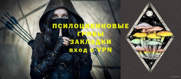 прущие грибы Арсеньев